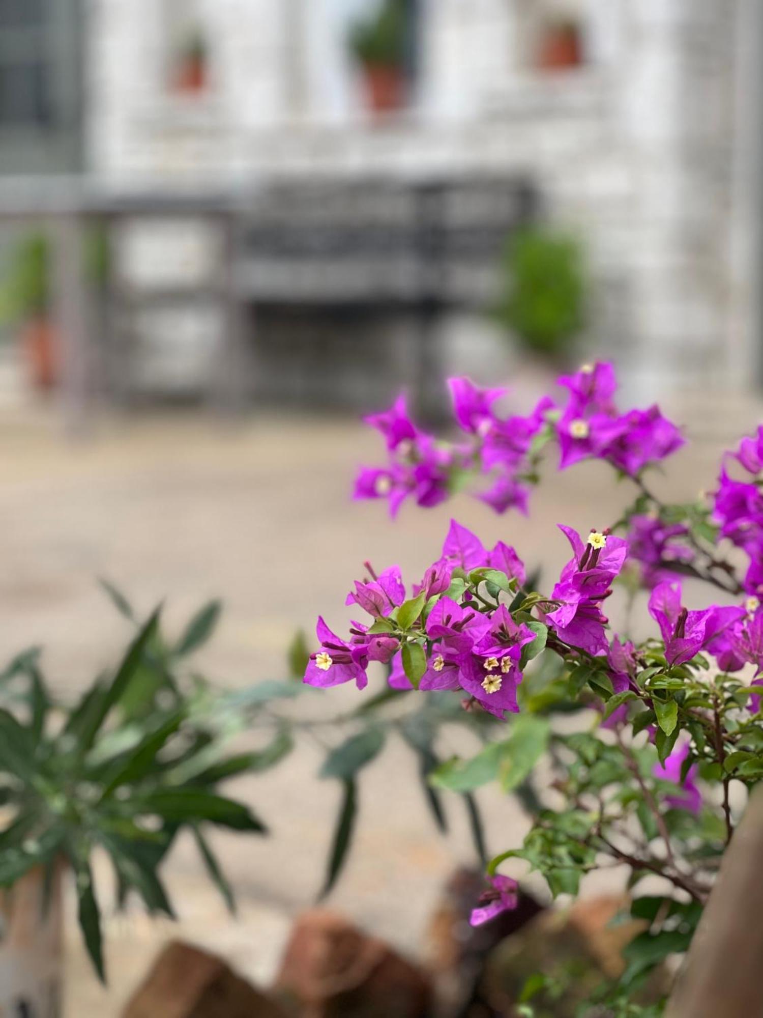 Elea Guesthouse Himare Exterior foto